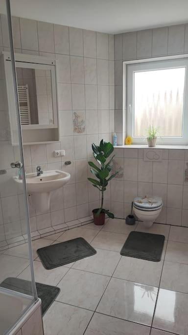 Hehlentor-City Gaeste Wohnung سيل المظهر الخارجي الصورة